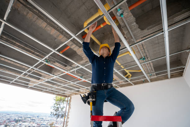 Best Emergency Plumber  in Homosassa Springs, FL