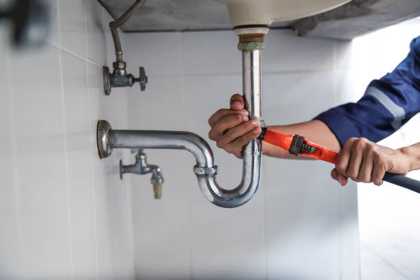 Best Plumbing Services Near Me  in Homosassa Springs, FL