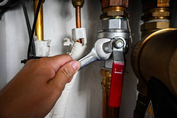 Best Commercial Plumbing Services  in Homosassa Springs, FL
